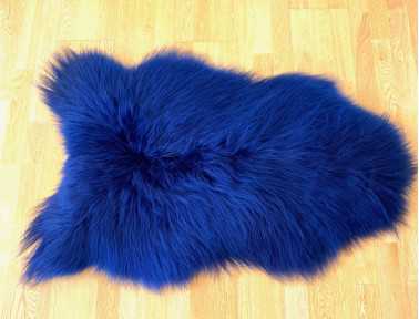 Mouton islandais teinté Bleu