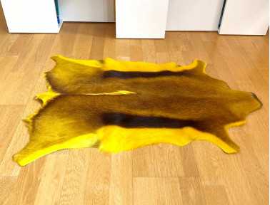 Peau de Springbok jaune
