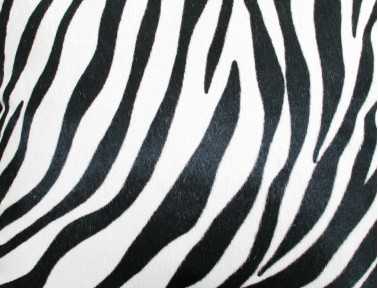 Coussin en peau de vache imprimée Zèbre DOUBLE face