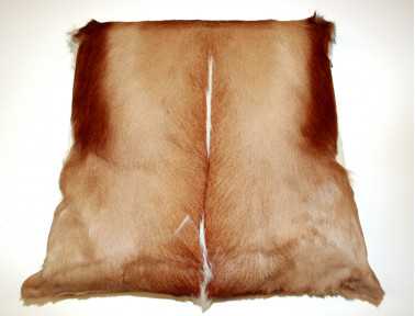 Coussin en peau de Springbok