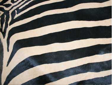 Peau de vache imprimée Zèbre sur fond beige