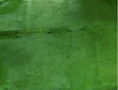 Peau de vache teintée Vert