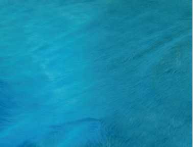 Peau de vache teintée Bleu turquoise