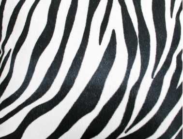 Coussin rectangle en Peau zébrée DOUBLE FACE