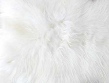 Peau de mouton islandais blanc Tannage écologique 