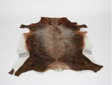 Peau de Blesbok naturelle