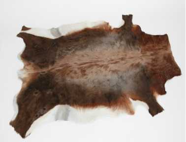 Peau de Blesbok naturelle