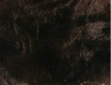 Peau de mouton teintée
