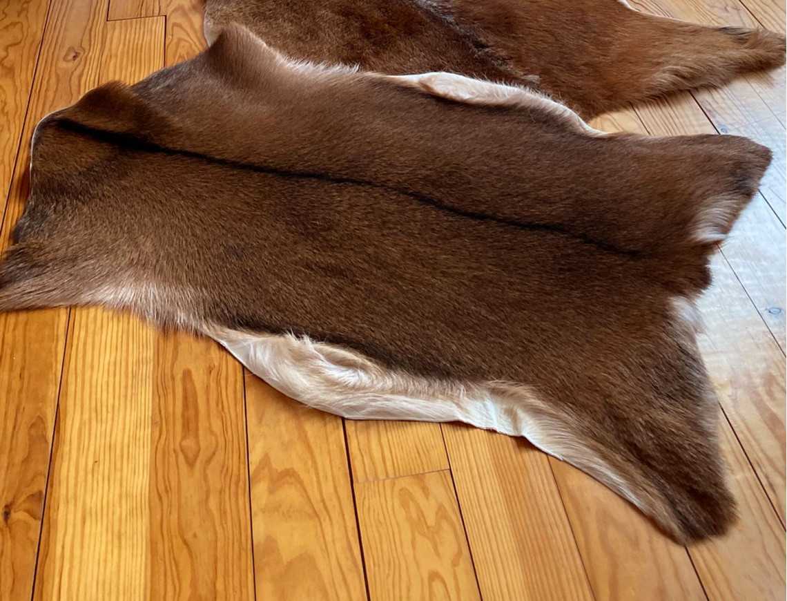 Peau De Chevre Naturelle De Pays