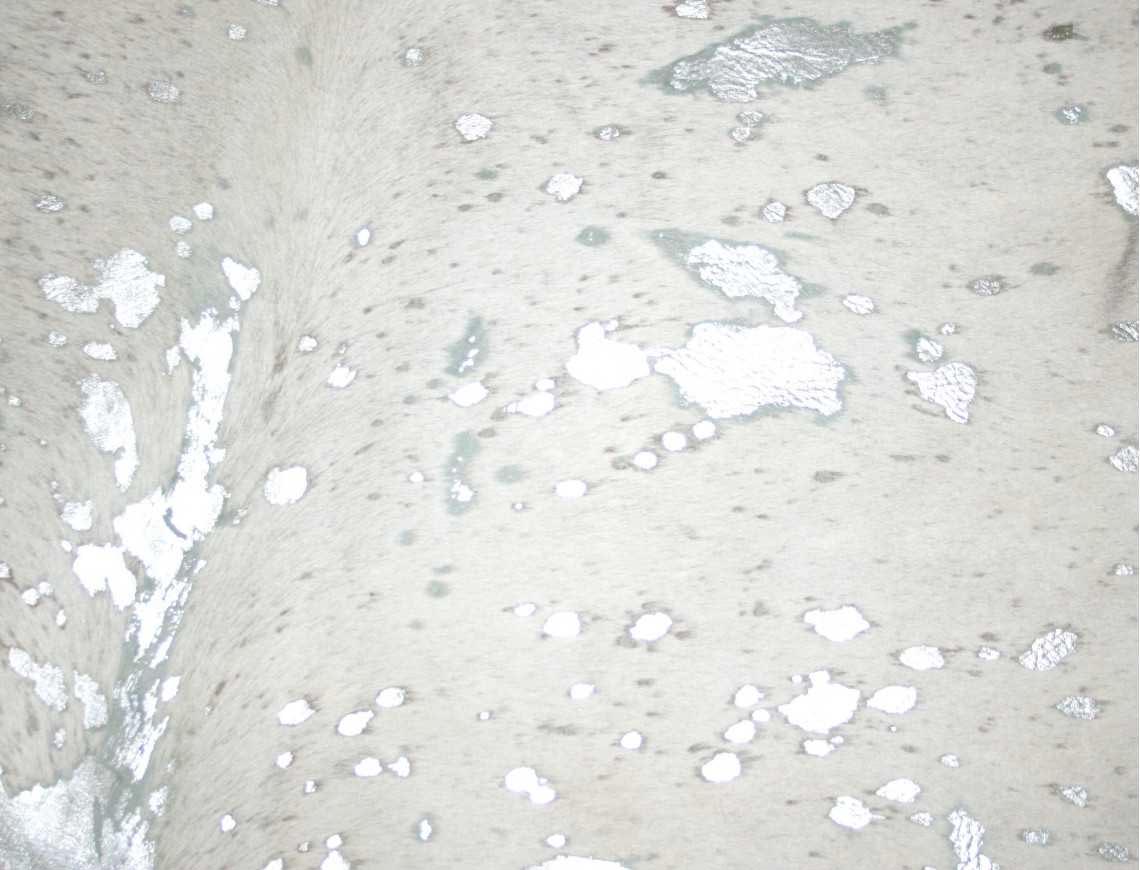 Motif du tapis en peau de vache métallisée argent