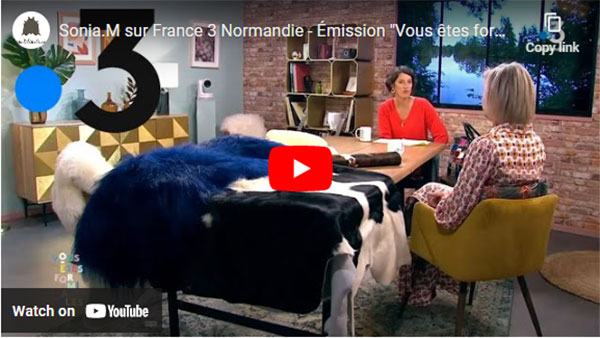 Emission vous etes formidable