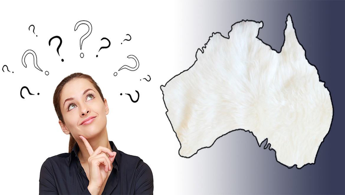 Pourquoi Toutes Les Peaux De Mouton Viennent D’Australie ? … Ou Presque.