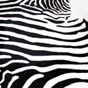 Peau de vache imprim&#233;e z&#232;bre sur fond blanc naturel