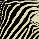 Peau de vache imprim&#233;e z&#232;bre sur fond beige naturel