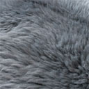Mouton Australien teinté gris